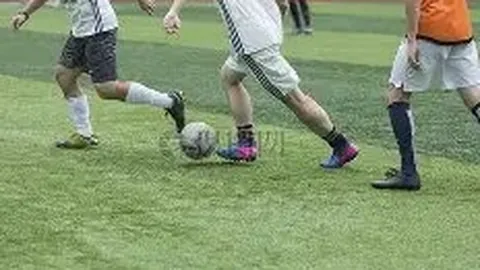 nba买球 (中国)官方 资讯 141448 p7g