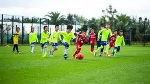 湖北省田径协会助力田径事业跃上新台阶